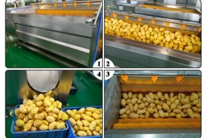 ماكينة تنظيف وتقشير البطاطس