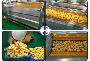 Potato cleaning and peeling machine