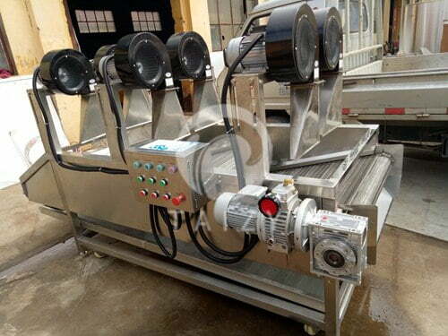 Vegetable And Fruit Air-Drying Production Line 5 Air drying production line 4 2