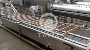 Bubble type vegetable washing machine