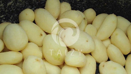 Vegetable washing machine