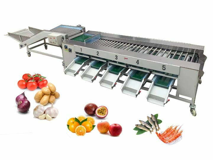 Roller onion potato grading machine