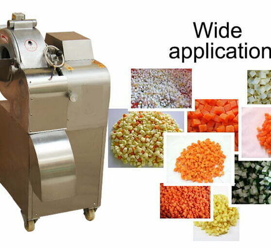 vegetable and fruits dicing machine