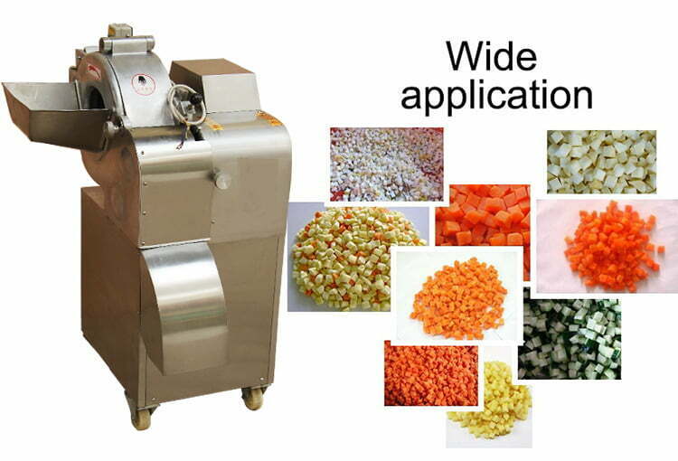 Food shop dicer machine