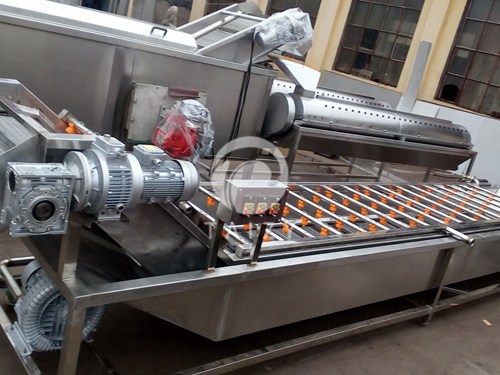vegetable washing machine
