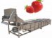 Fruit and vegetable washing machine