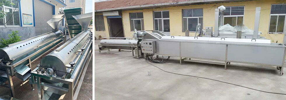 chicken feet processing line manufacturers