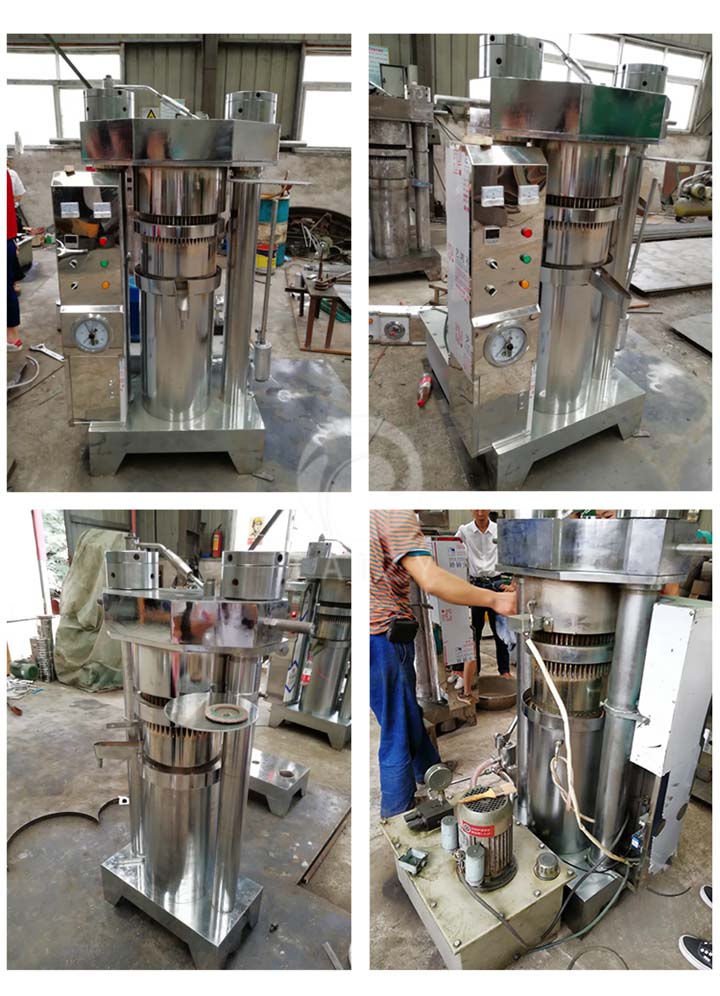 oil press machine working