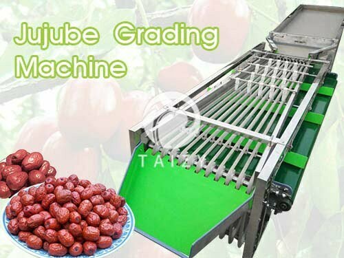 Machine de calibrage des jujubes