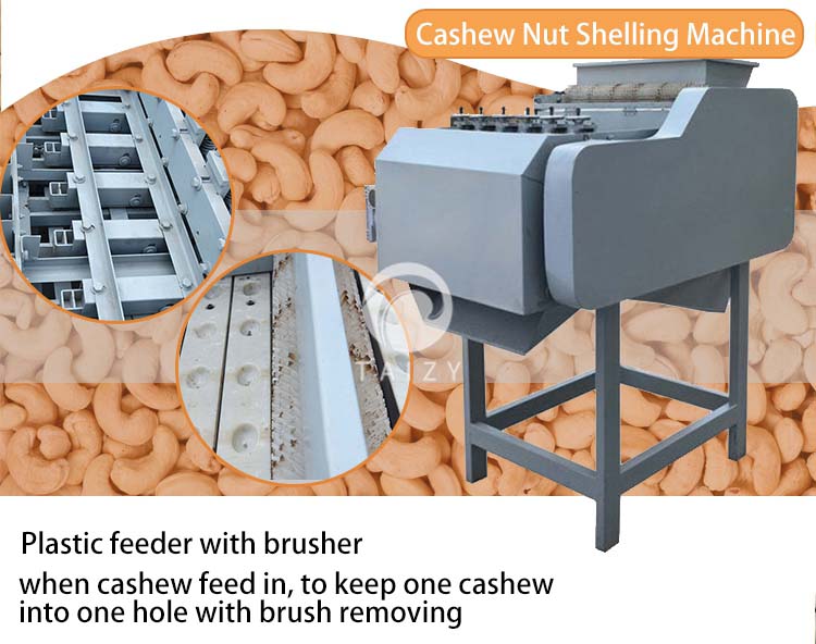 cashew peeling machine