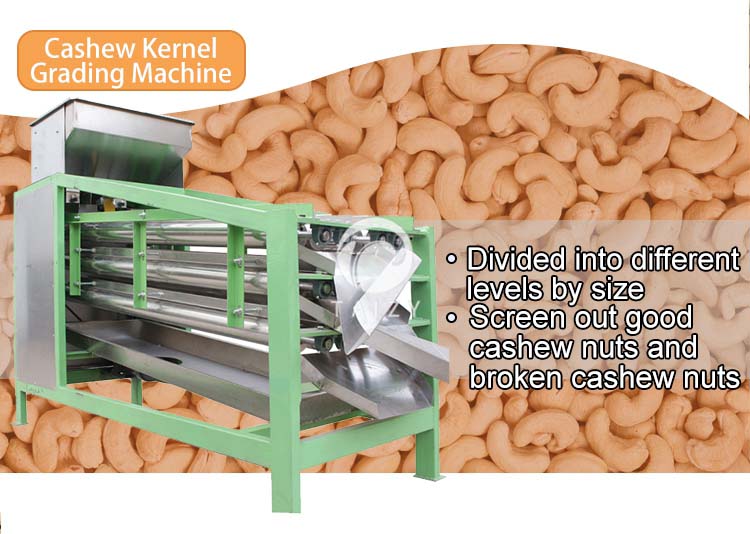 cashew nut grading machine