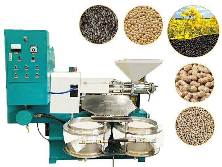 Screw oil press extractor machine