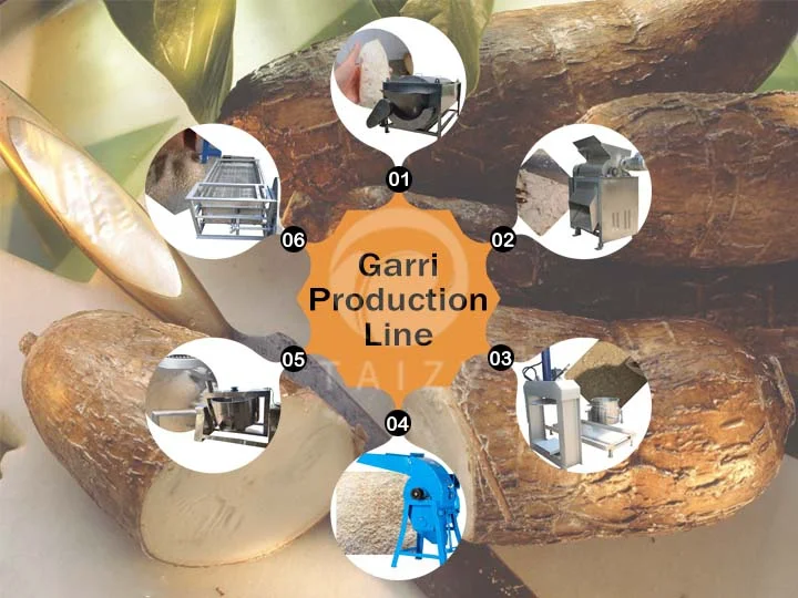 Cassava production line 13