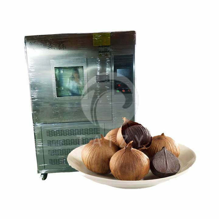 fermentation machine