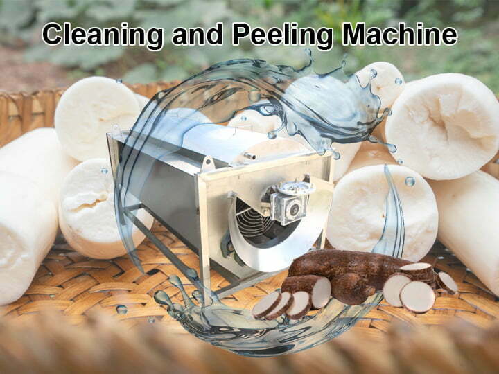 Cassava washing and peeling machine
