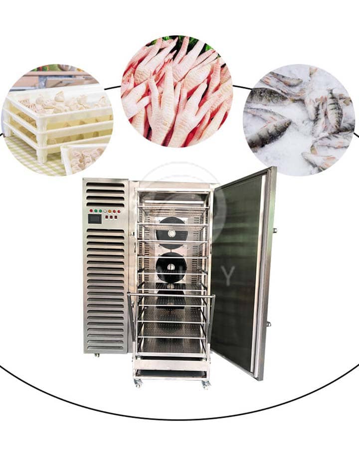 Industrial food freezer for freezing fish,bun
