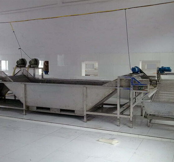 Qatar vegetable washing machine