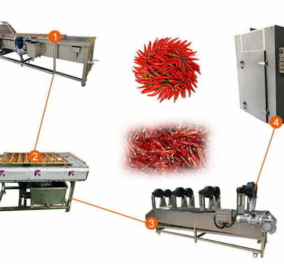 automatic chili pepper washing and drying line