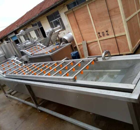 potato washing machine exported to South Africa