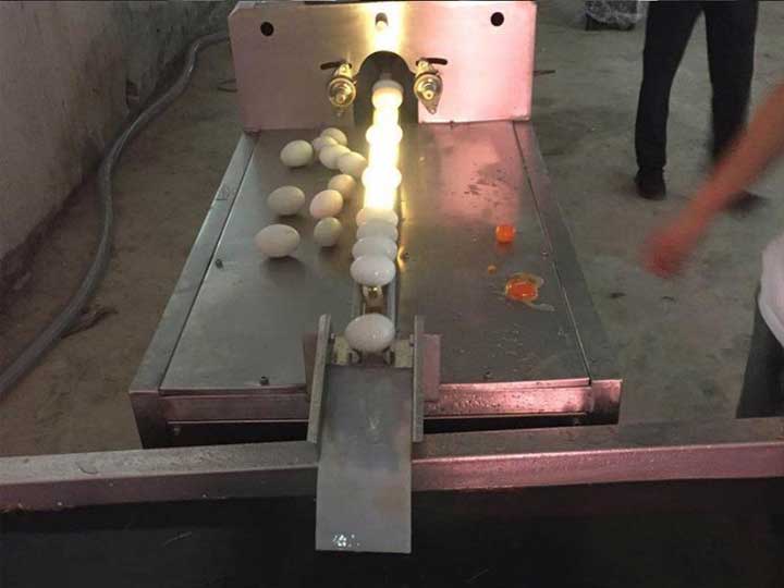 Automatic egg light inspection
