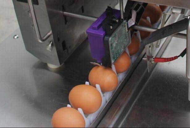 Egg printer