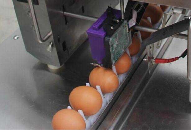 fabricantes de impresoras de huevos