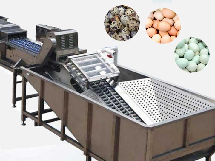 صنعتی انڈے کی واشنگ مشین