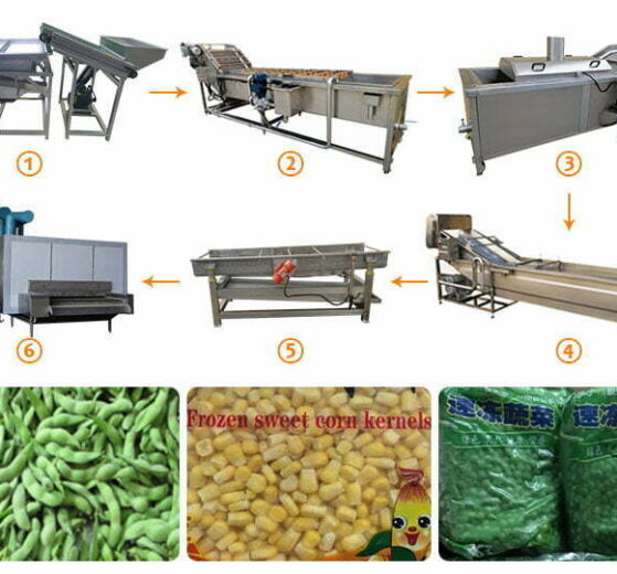 用于制作冷冻豌豆、甜玉米的冷冻蔬菜生产线8 冷冻豌豆加工线