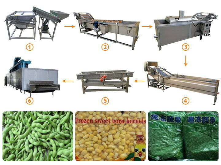 Línea de procesamiento de guisantes congelados