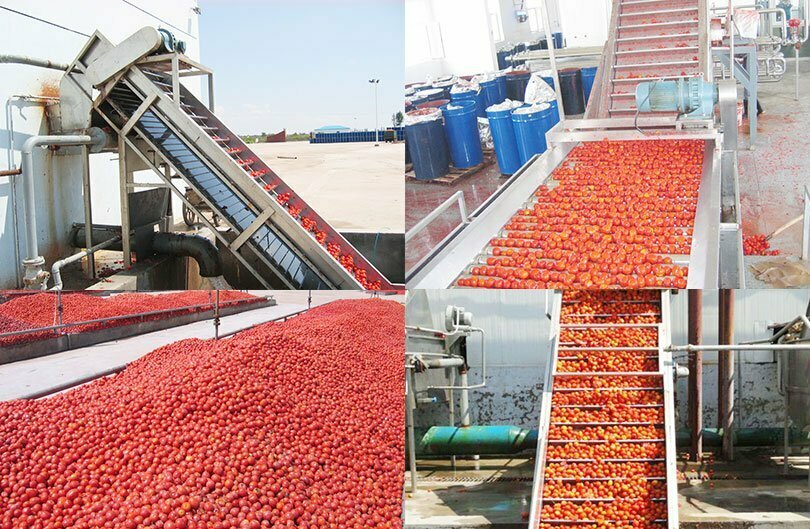 hoist to convey tomatoes