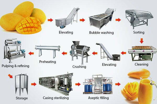 Ligne de production de jus de fruit à la mangue