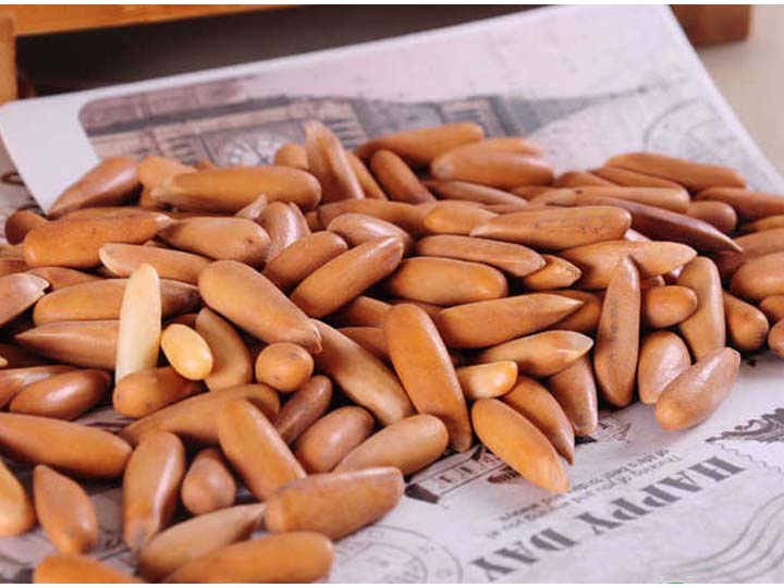 Pakistan pine nuts