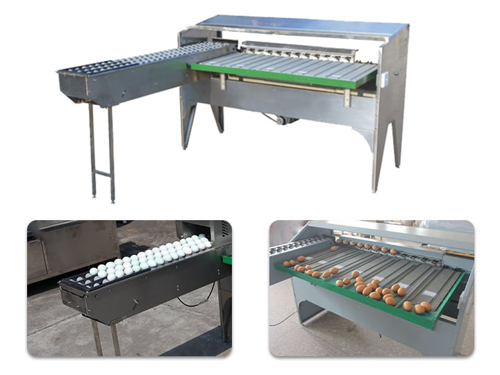 commercial egg grader machine