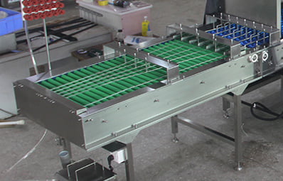 eggs conveyor