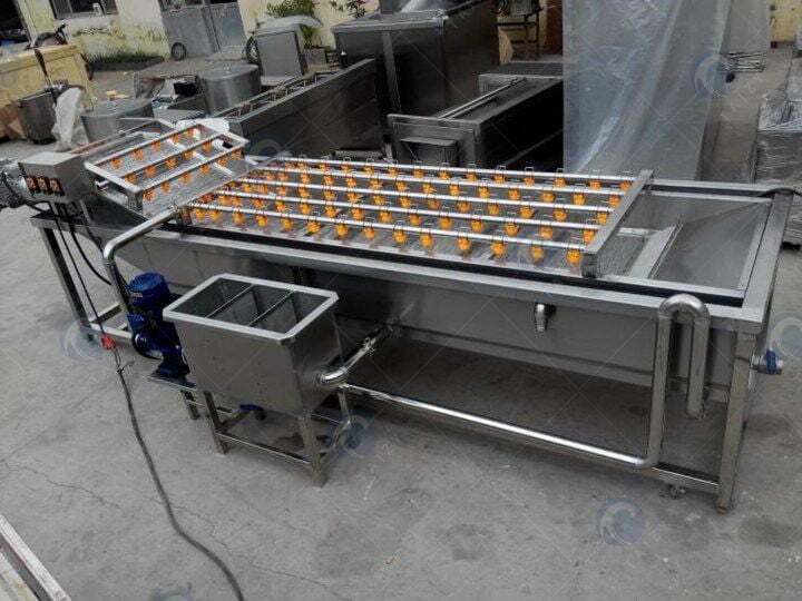 Máquina de lavar gengibre
