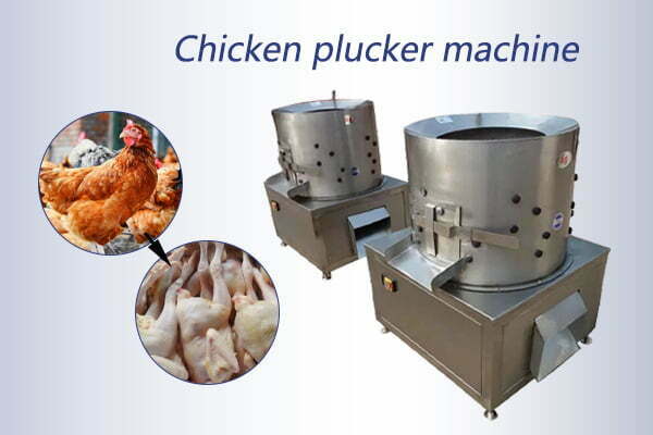 Machine commerciale pour plumer les poulets