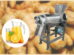 Extracteur de jus de gingembre commercial