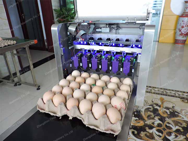egg code inkjet printing machine