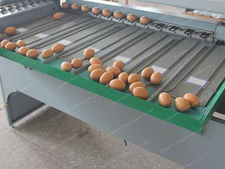 Egg grading machine is popular in malaysia