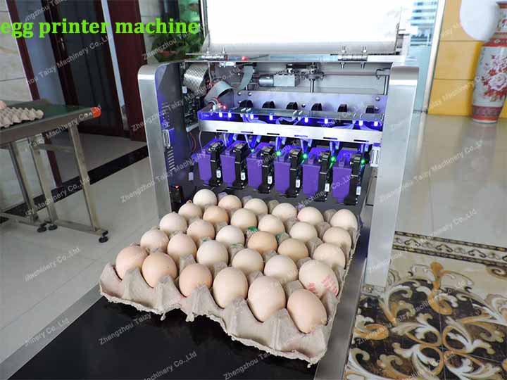 Egg inkjet printer