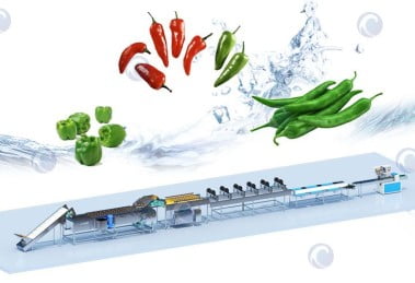 complete green pepper washing plant