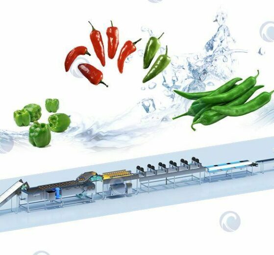 Complete green pepper washing plant