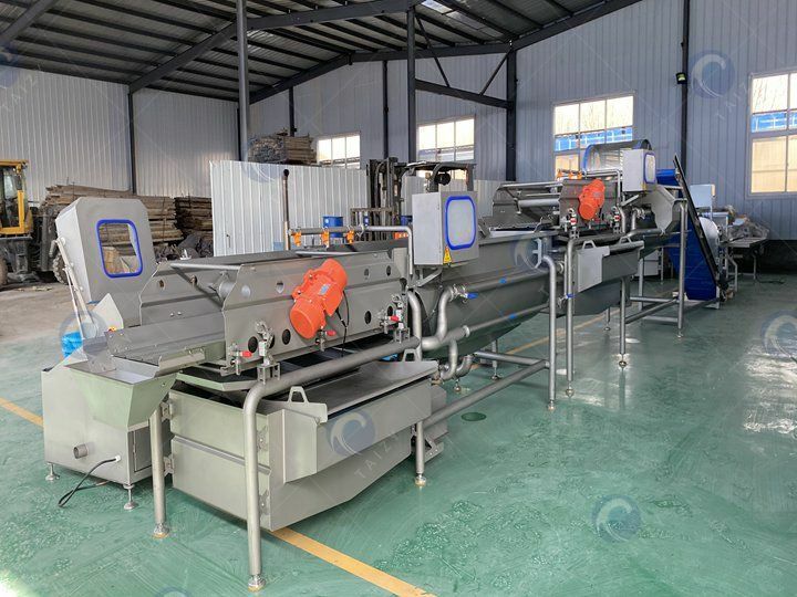 industrial vegetable salad production line factory