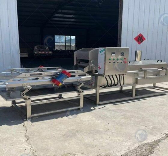 complete frying machine for shipping to America