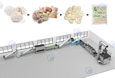 garlic processing plant
