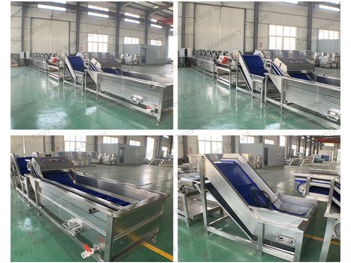 taizy vegetable washing machine factory