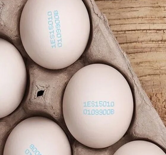 Why Do Eggs Need To Be Coded With An Egg Coder Machine? 4 Egg printing