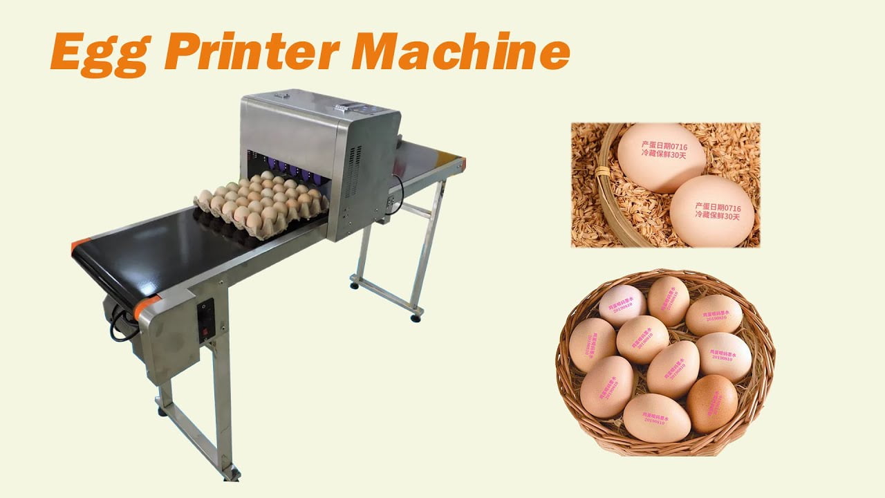 Egg Washer Machine For Fresh Eggs, Egg Washer Machine For Sale, Smal