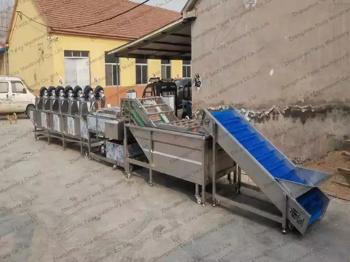 complete vegetable washing plant design