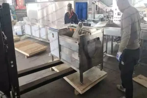 فلپائن کے لیے میٹھے آلو چھیلنے والی مشین